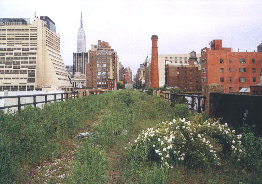 The high line in 2000, photographed by Joel Sternfeld
