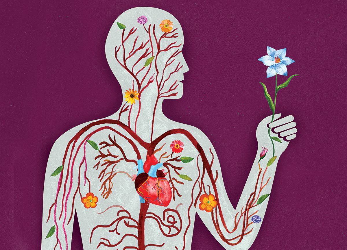 Anatomical illustration by Ellen Weinstein of flowers and plants running through the circulatory system
