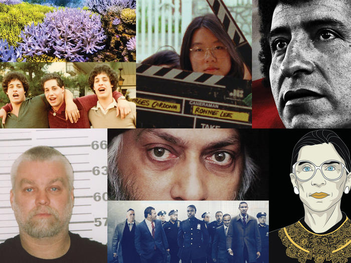 Documentaries made by Columbia alumni: Chasing Coral, Shirkers, ReMastered: ReMastered: Massacre at the Stadium, Three Identical Strangers, Wild Wild Country, RBG, Making a Murderer part 2, Crime + Punishment 