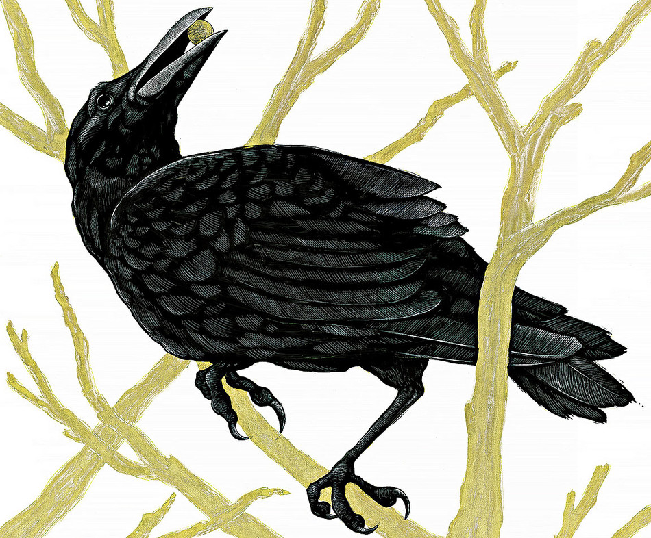 Illustration of a crow by Bri Hermanson