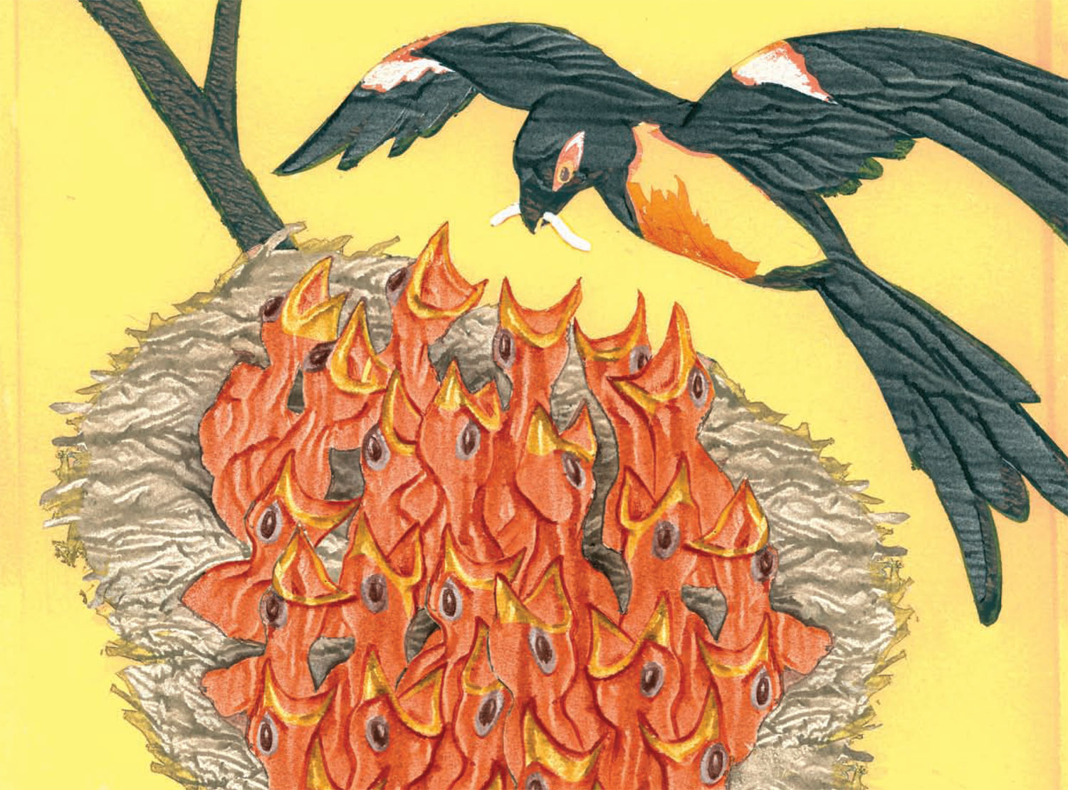 Illustration by Alex Nabaum of bird feeding worm to overcrowded nest