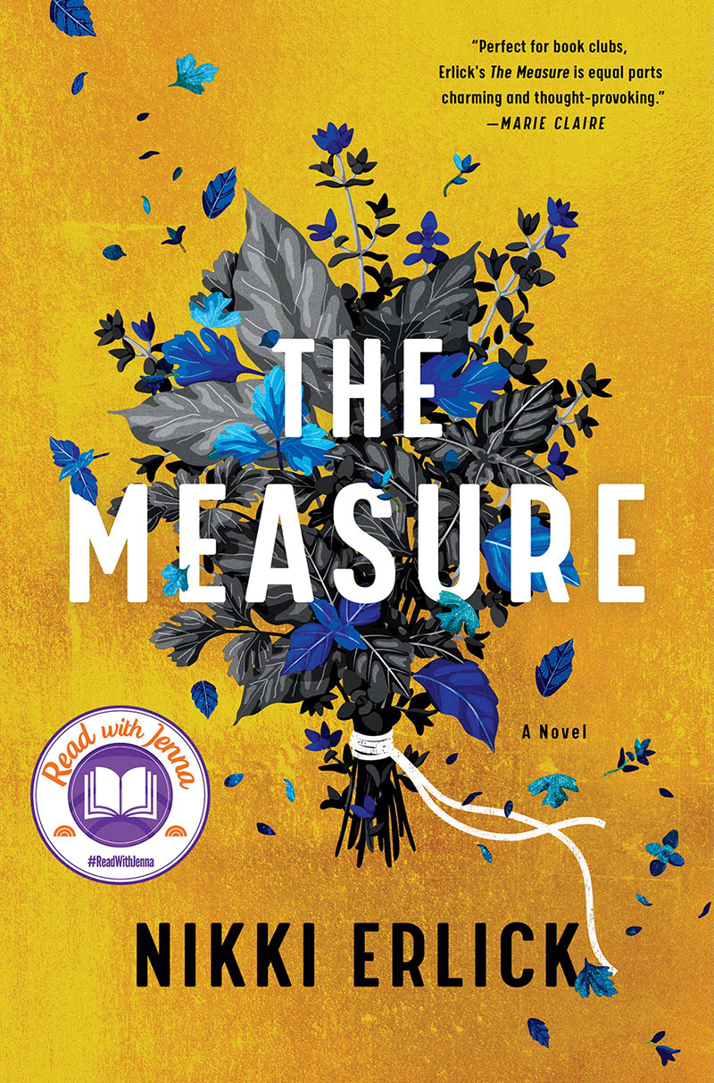 Cover of The Measure by Nikki Erlick 
