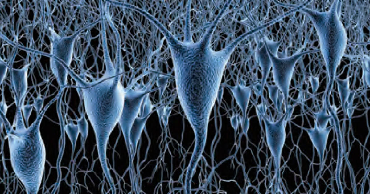 Researchers Find Synaptic Link to Autism Columbia Magazine