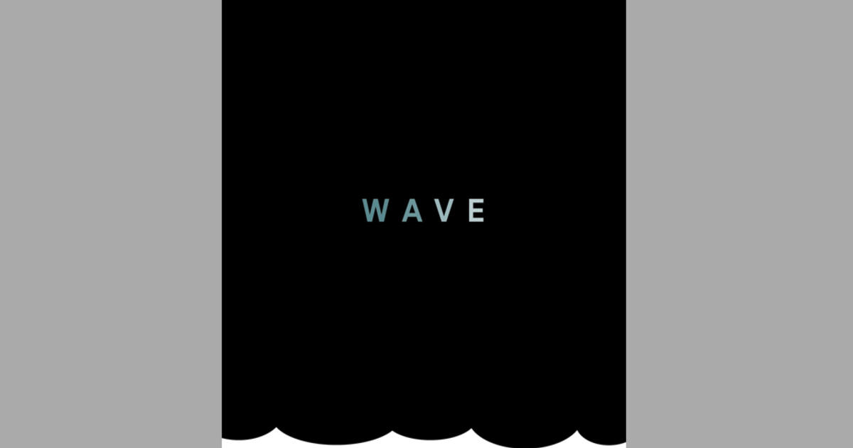 book review the wave