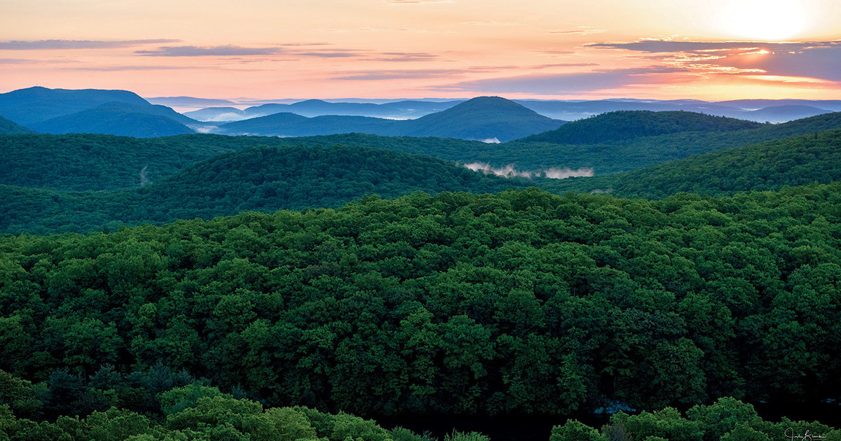 The Secrets of Black Rock Forest | Columbia Magazine