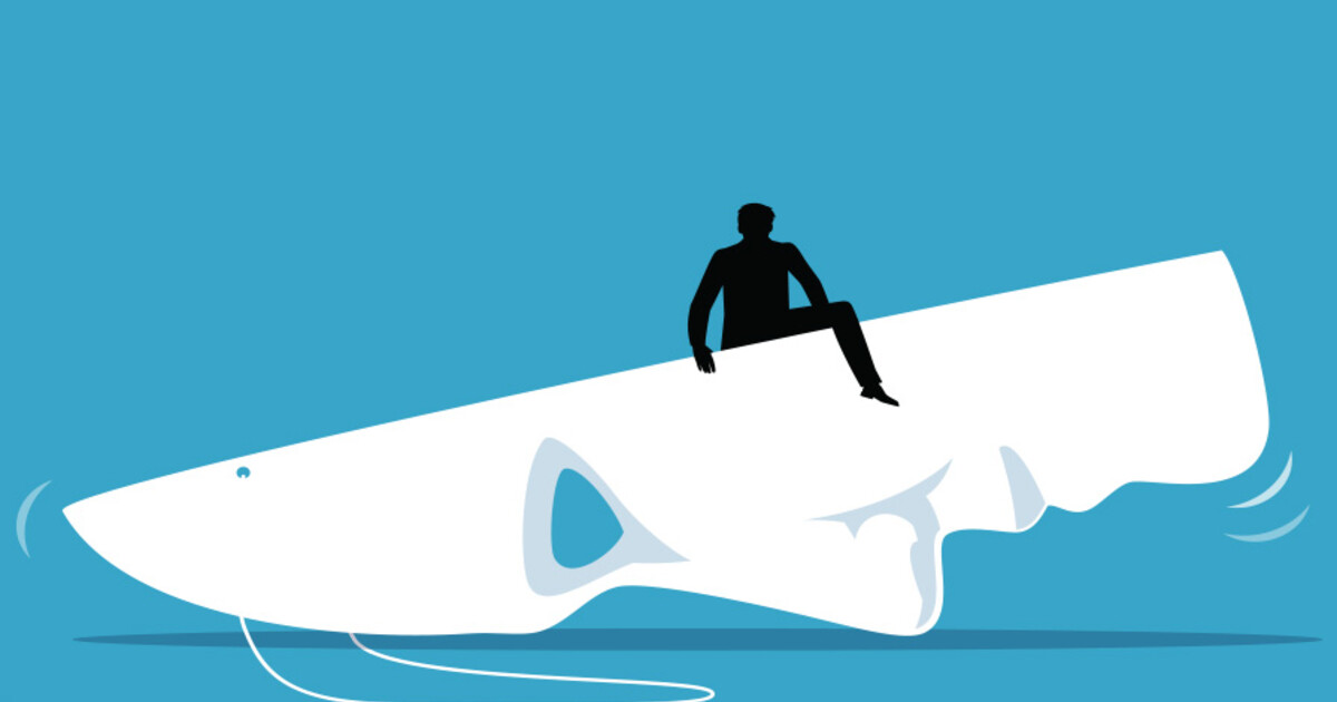 It’s Easier to ‘Just Be Yourself’ When You’re Popular | Columbia Magazine