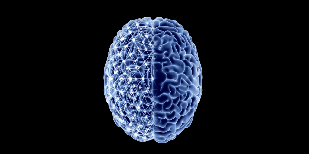 Brain