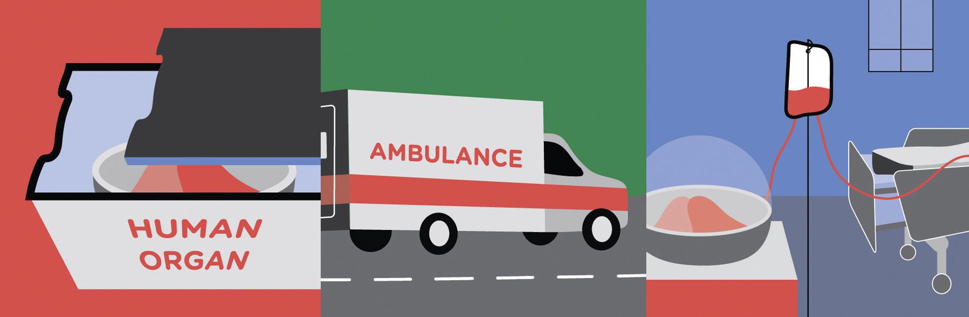 Illustration of organ transportation