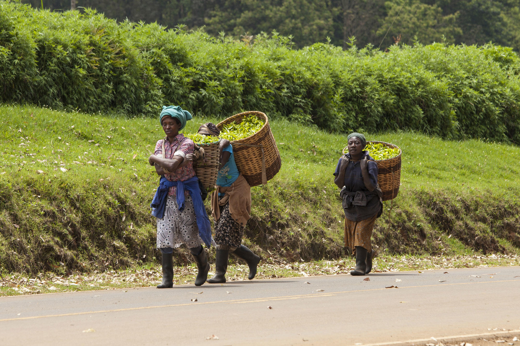 Workers in Kenya
