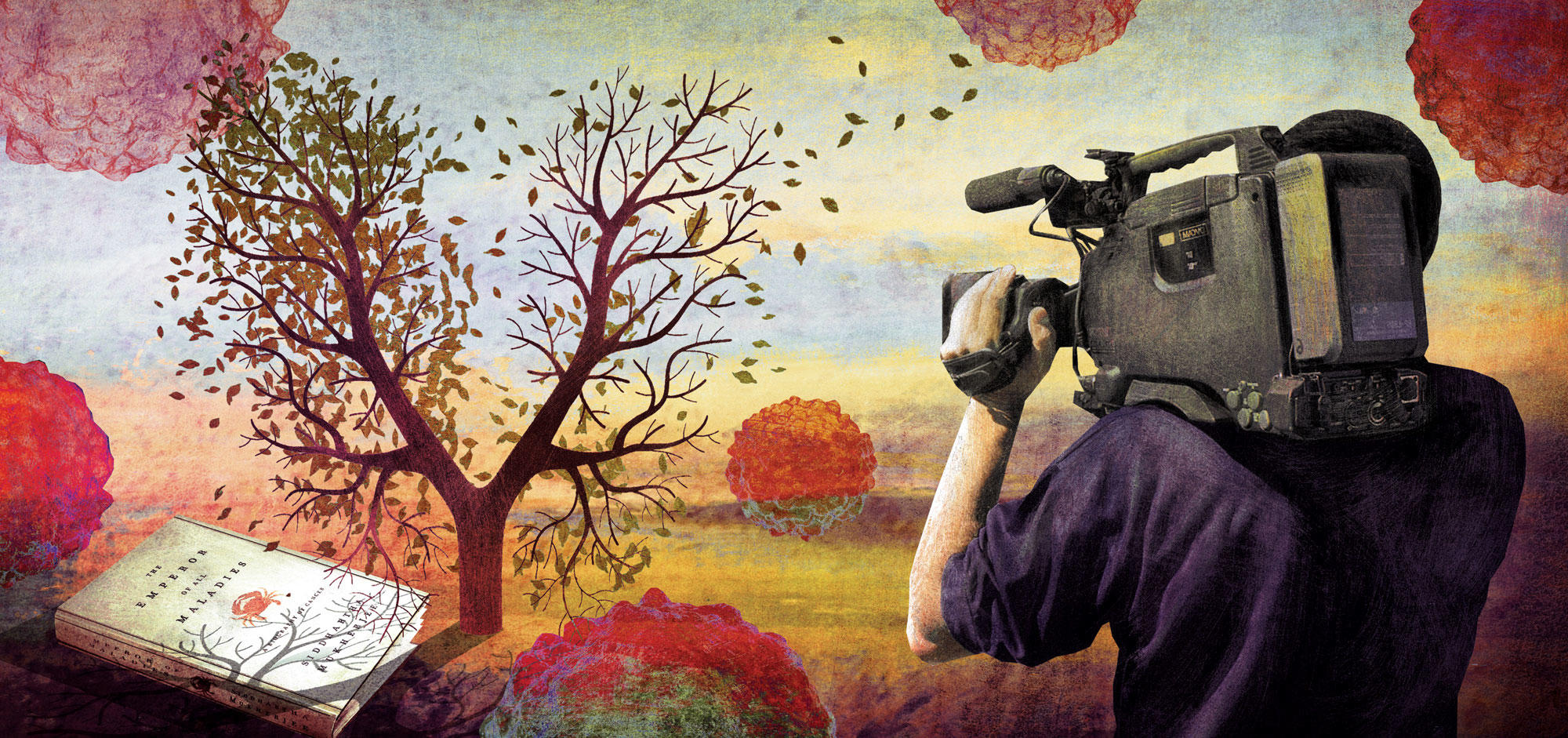 Film illustration