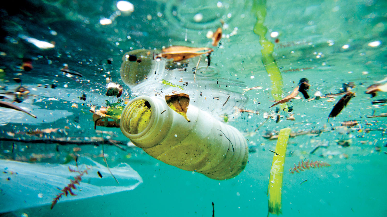 Underwater photo of plastic bottle and other trash floating in ocean