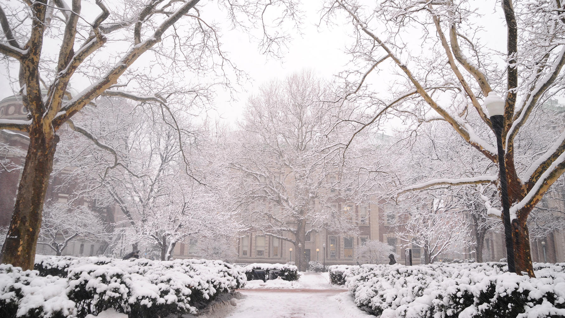 4.19_EXPL_Campus-Snow