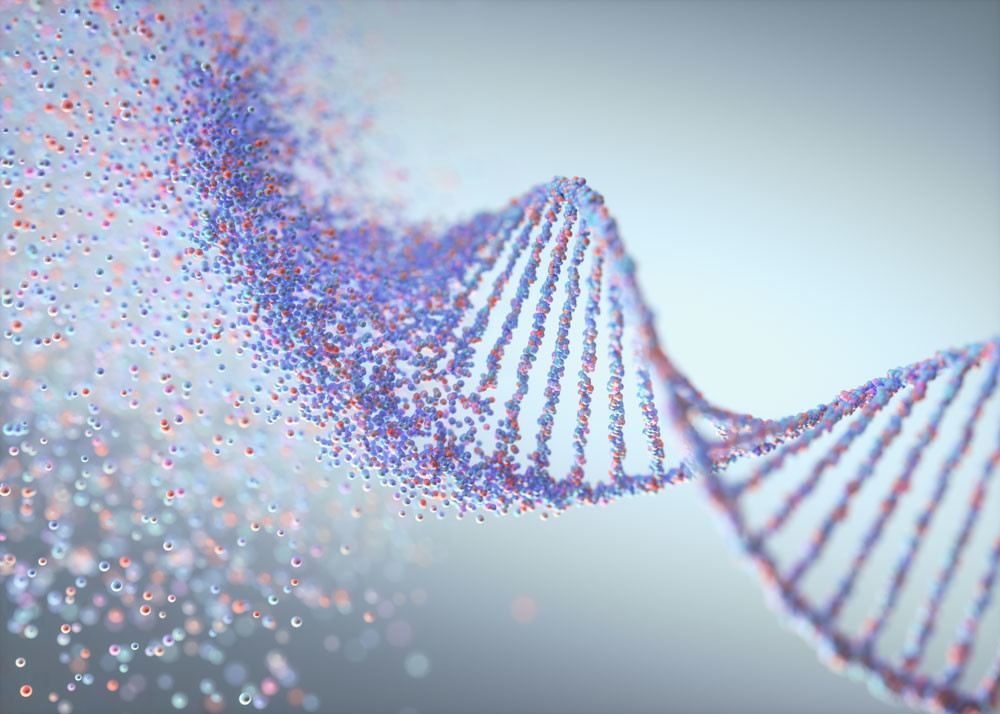 2022_Autism_DNA strand
