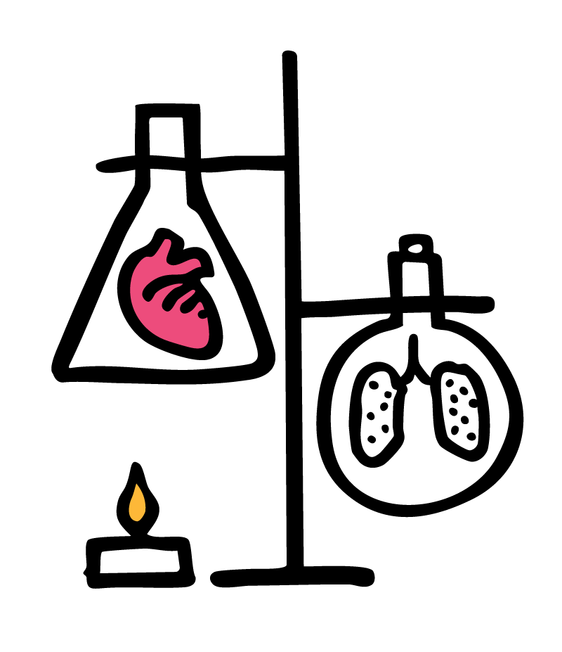 Illustration of Lab-Grown Organs