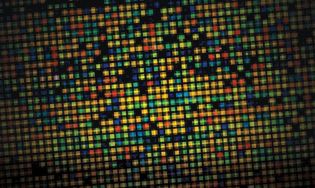 a DNA sequence