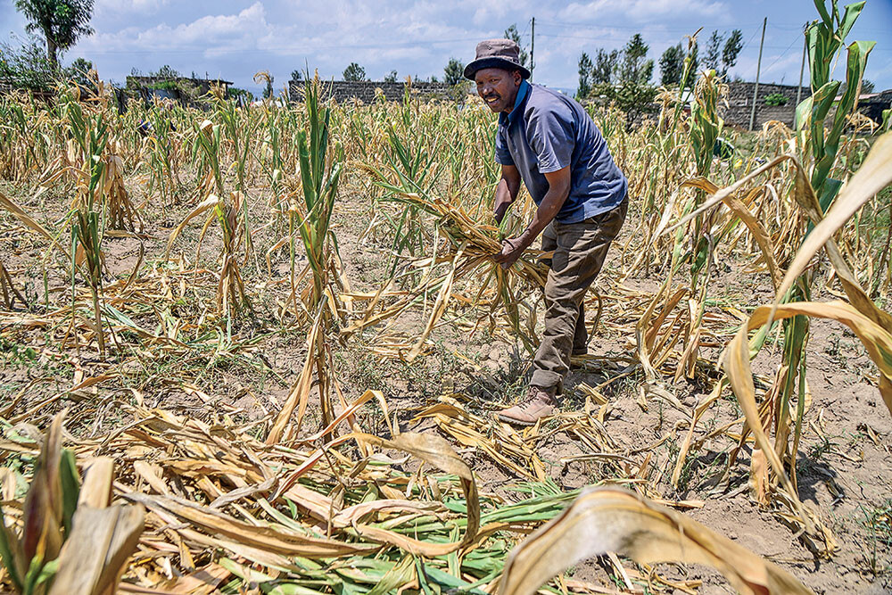 A Kenyan farmer