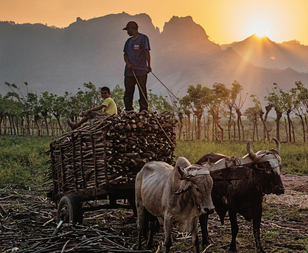 Farmer
