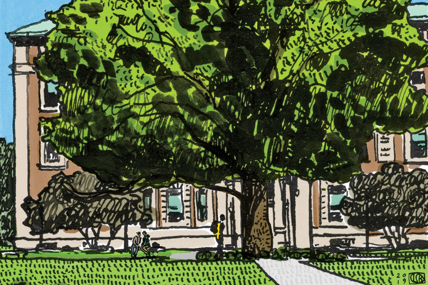 Illustration by Lauren Simkin Berke of the sycamore tree outside Columbia University's Mathematics building