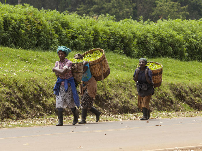 Workers in Kenya