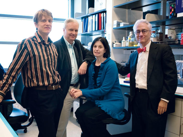 Stem-cell researchers Dieter Egli, Mark Sauer, Robin Goland, and Rudolph Leibel