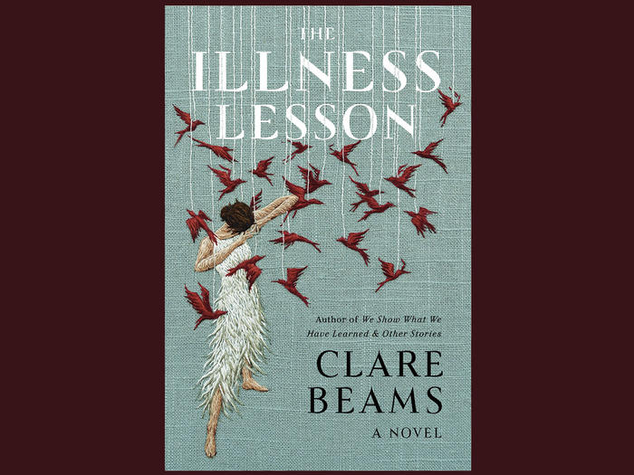 Cover of the Illness Lesson by Clare Beams