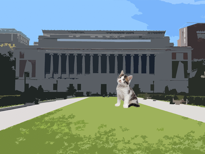 Animation of a kitten and a Welsh Corgi in front of Columbia's Butler Library