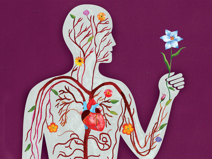Anatomical illustration by Ellen Weinstein of flowers and plants running through the circulatory system