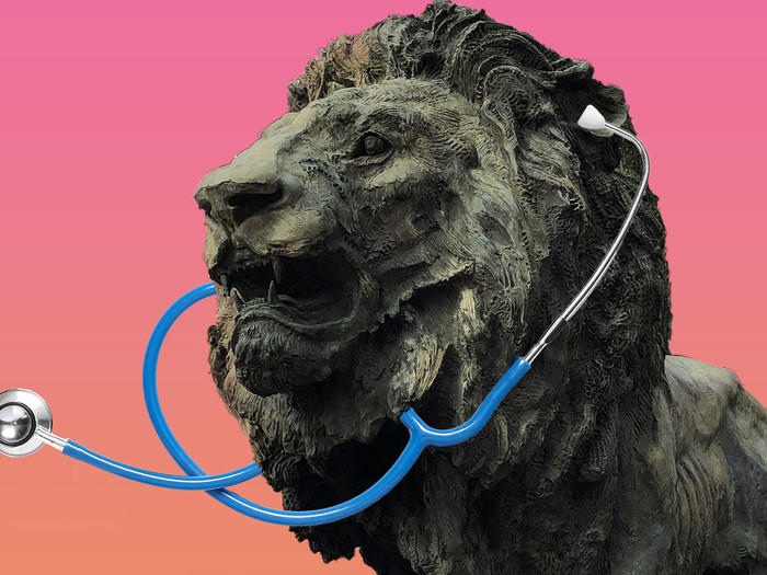 Columbia Lion with stethoscope