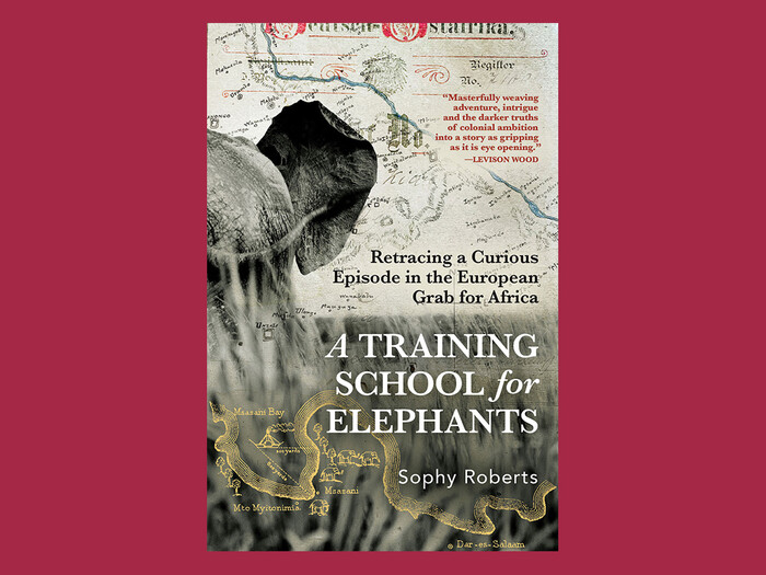Cover of A Training School for Elephants by Sophy Roberts