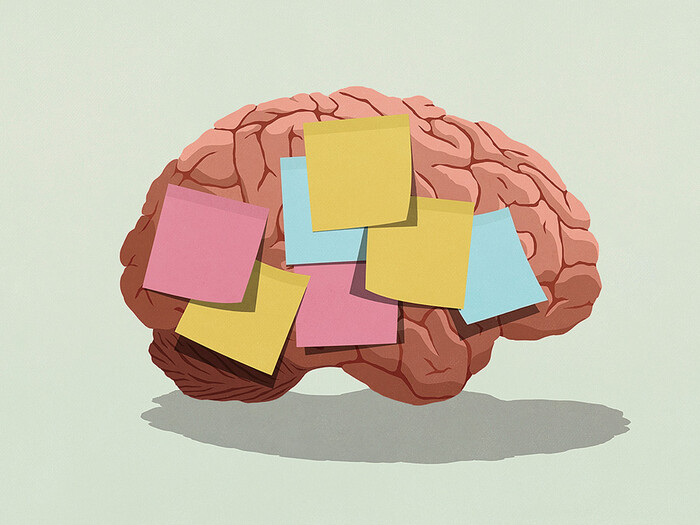 Illustration of a brain with post-it notes
