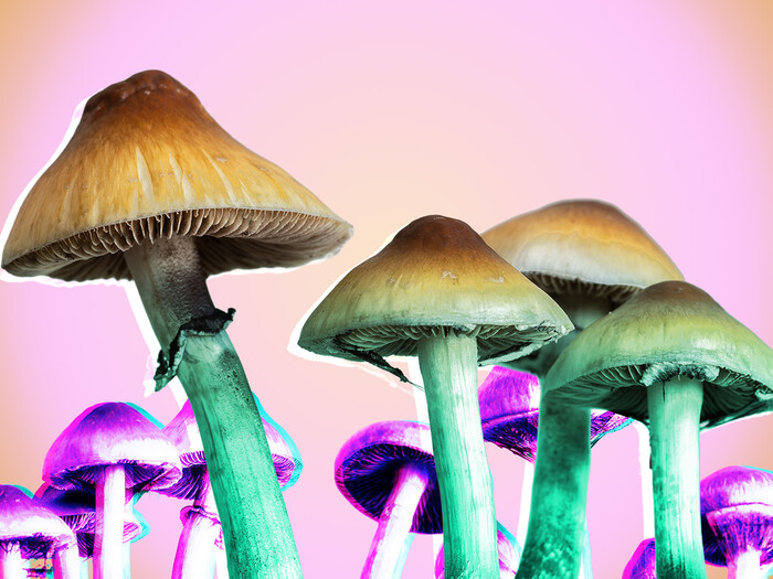 Photo-illustration of psychedelic mushrooms