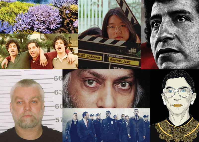 Documentaries made by Columbia alumni: Chasing Coral, Shirkers, ReMastered: ReMastered: Massacre at the Stadium, Three Identical Strangers, Wild Wild Country, RBG, Making a Murderer part 2, Crime + Punishment
