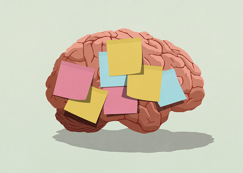 Illustration of a brain with post-it notes