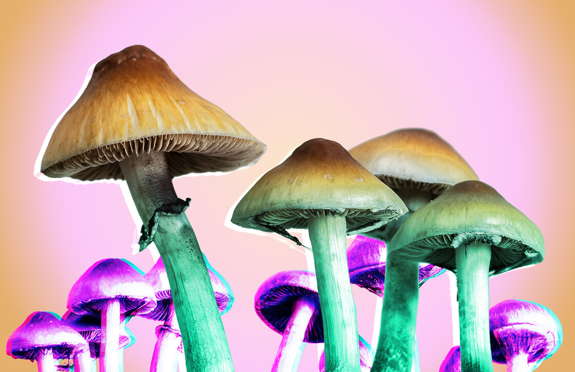 Photo-illustration of psychedelic mushrooms