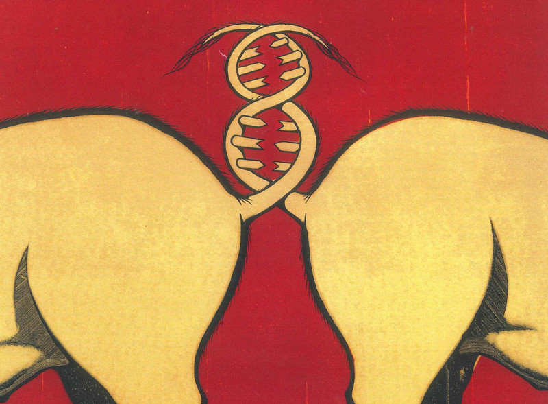 Illustration by Daniel Bejar of pig tails tangled together into double helix