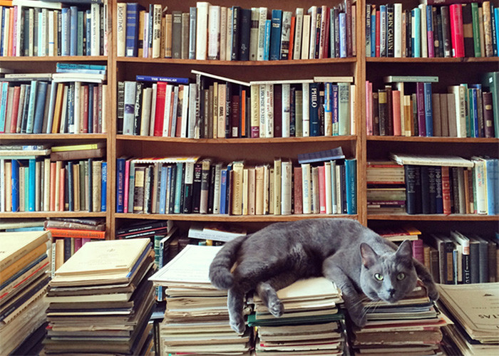 2020_01_Books_CAT