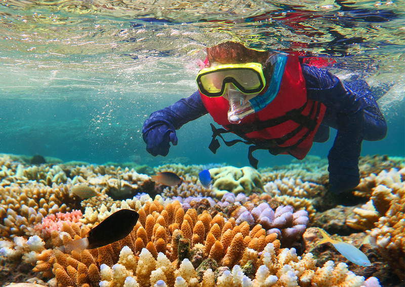 2.20_STUDY-HALL-coral