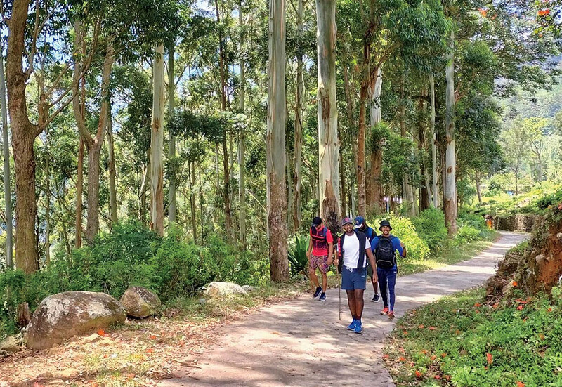 The Pekoe Trail in Sri Lanka