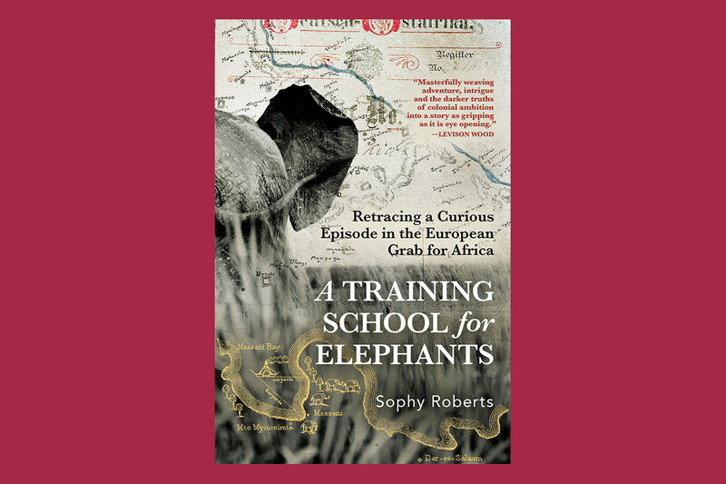 Cover of A Training School for Elephants by Sophy Roberts