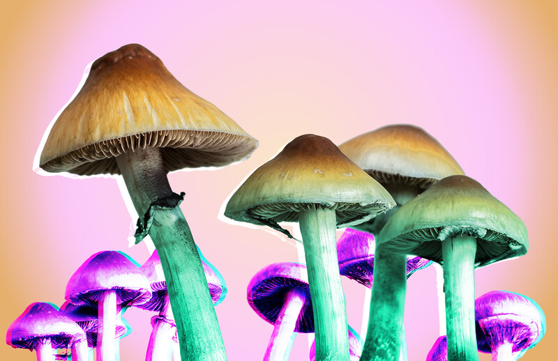 Photo-illustration of psychedelic mushrooms