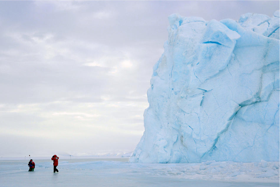 The Ross ice shelf