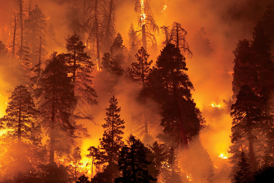 Climate Change Fuels Significant Increase in US Forest Fires ...