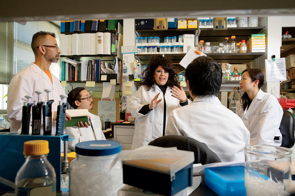 Angela Christiano in her lab with member of her research team