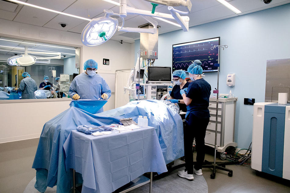 Students in Columbia Nursing School’s nurse-anesthesia program prepare to sedate a robot for surgery.