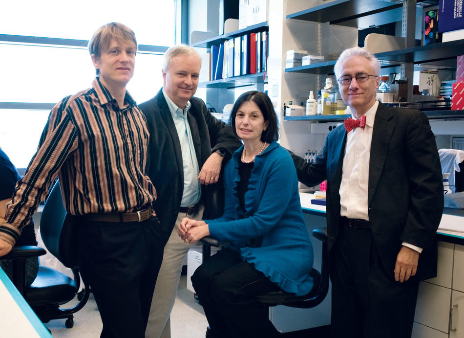 Stem-cell researchers Dieter Egli, Mark Sauer, Robin Goland, and Rudolph Leibel