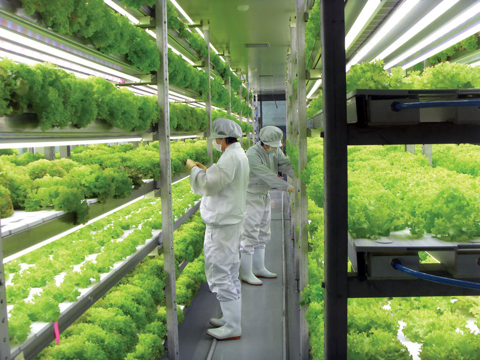 Scientists at a vertical farm in Suwon, South Korea, work in a hermetically sealed, clean-room environment. (Courtesy of Insungtec)
