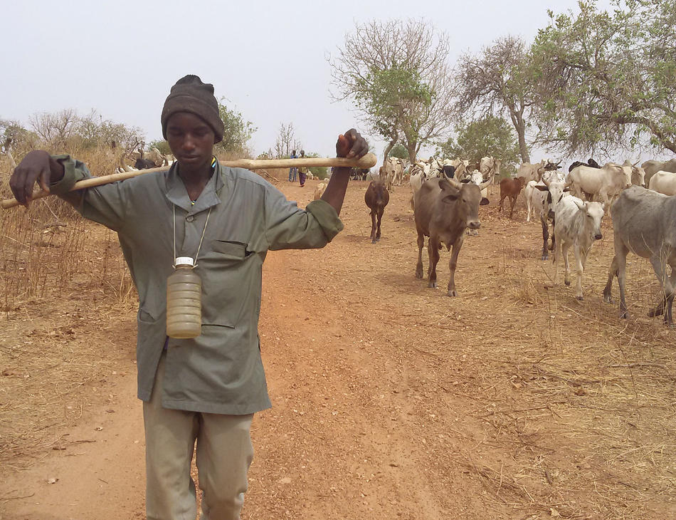 A migratory cattle herder in Burkina Faso