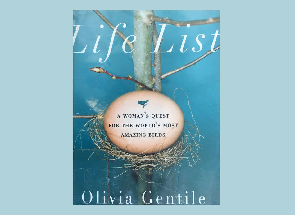 Cover of "Life List" by Olivia Gentile