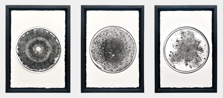 "Fossils," 2019, at Zürcher Gallery, New York. By Columbia biomedical engineer Tal Danino.