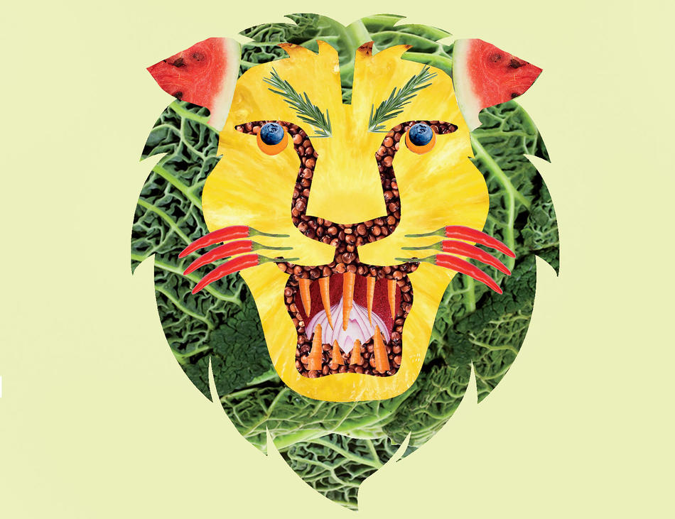 Illustration of Columbia lion mascot made out of fruits and vegetables
